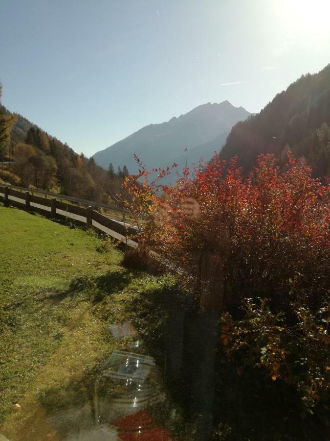 Ferienhaus Am Wallnerhof Flattach Luaran gambar